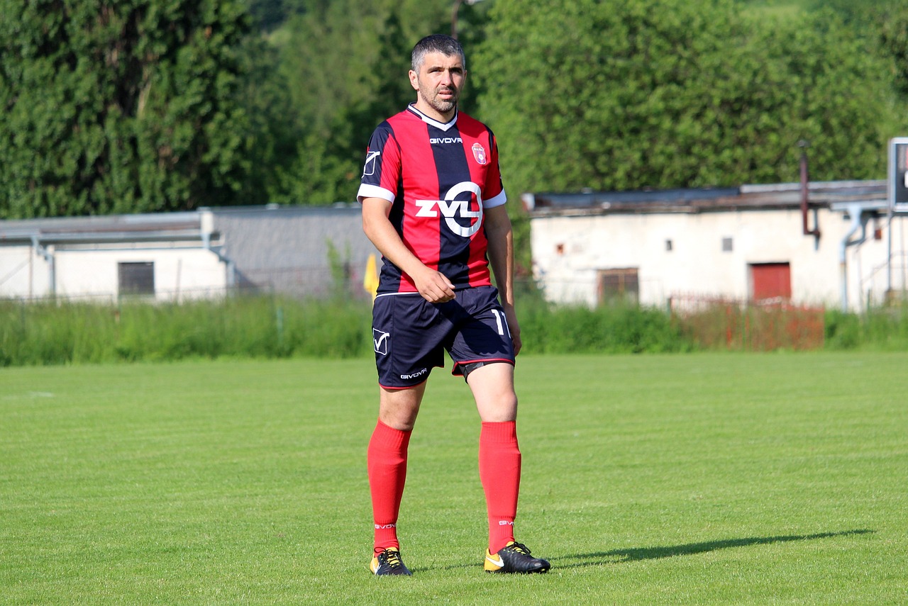 判到位先迈